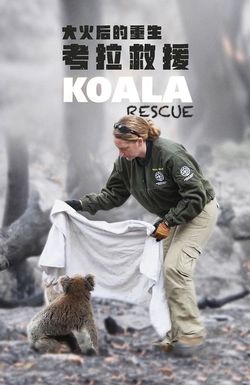 Koala Rescue