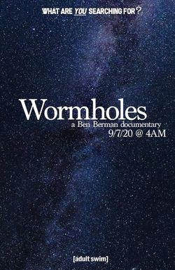 Wormholes