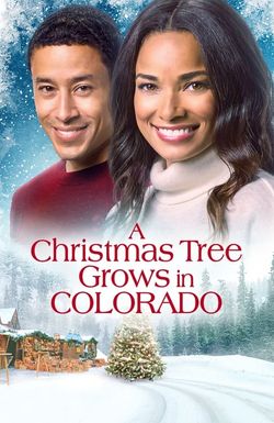 A Christmas Tree Grows in Colorado