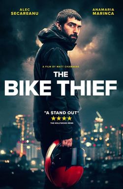 The Bike Thief