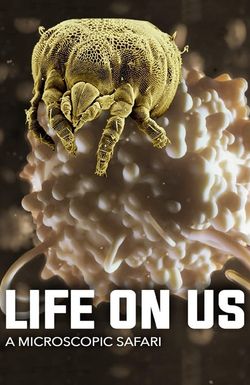 Life on Us: A Microscopic Safari