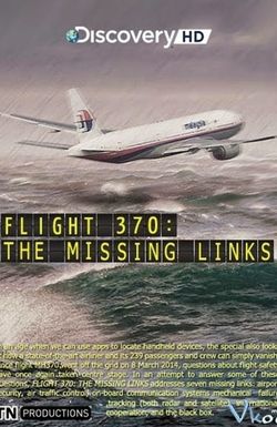 Flight 370: The Missing Links