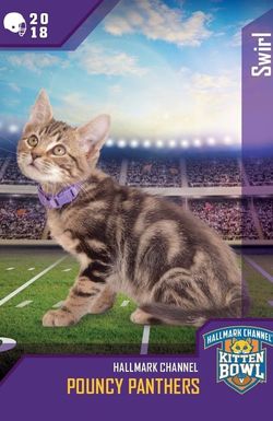 Kitten Bowl VIII