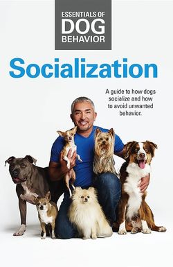 Cesar Millan's Socialization