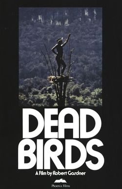 Dead Birds