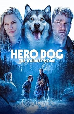 Hero Dog: The Journey Home