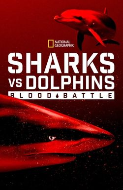 Sharks vs. Dolphins: Blood Battle