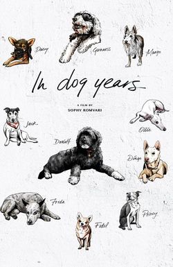 In Dog Years