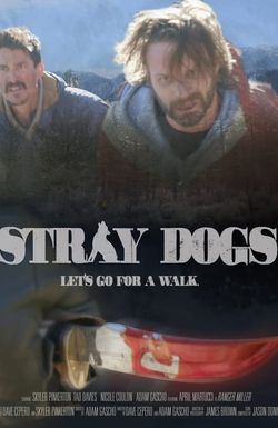 Stray Dogs