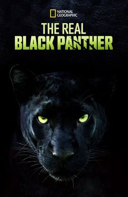 The Real Black Panther