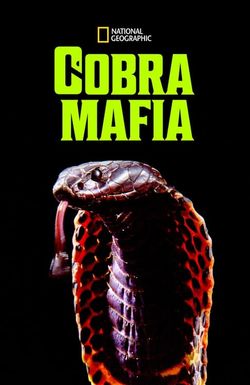 Cobra Mafia