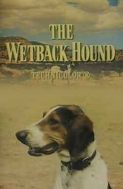 The Wetback Hound