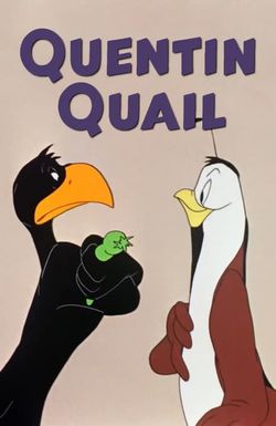 Quentin Quail