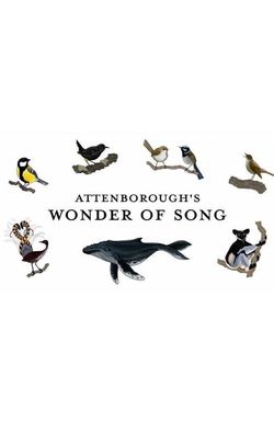 Attenborough's Wonder of Song