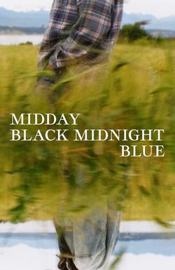 Midday Black Midnight Blue