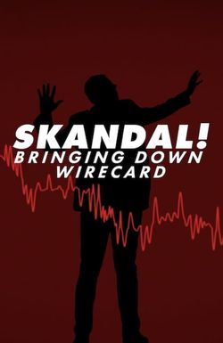 Skandal! Bringing Down Wirecard