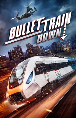 Bullet Train Down