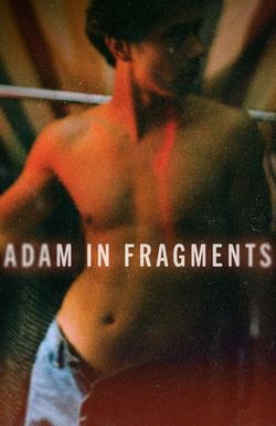 Adam in Fragments