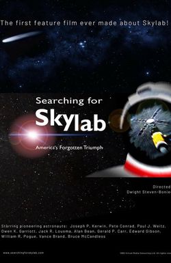 Searching for Skylab