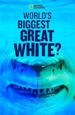 World's Biggest Great White Shark