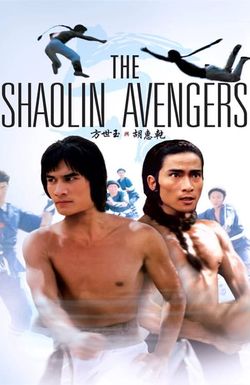 The Shaolin Avengers