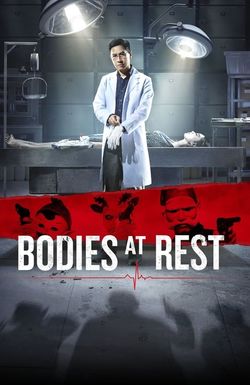 Bodies at Rest