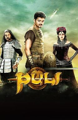 Puli