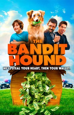 The Bandit Hound