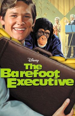 The Barefoot Executive