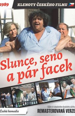 Slunce, seno a pár facek