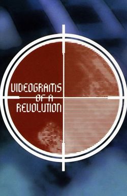 Videograms of a Revolution