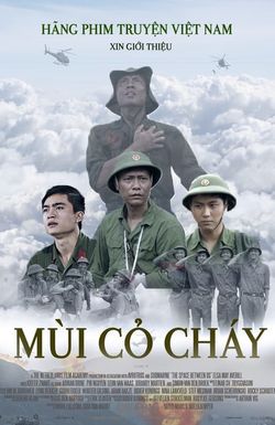 Mui co chay