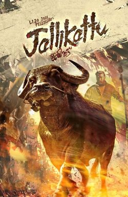 Jallikattu