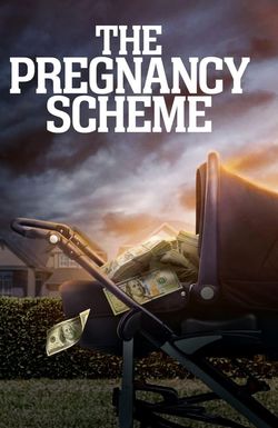 The Pregnancy Scheme