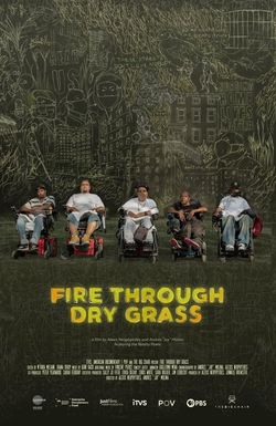 Fire Through Dry Grass