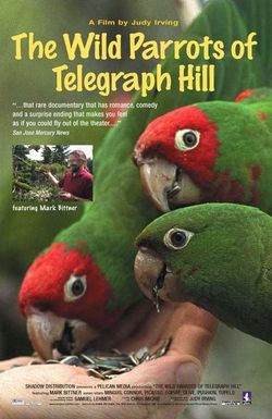 The Wild Parrots of Telegraph Hill