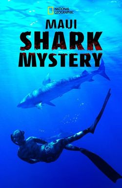 Maui Shark Mystery