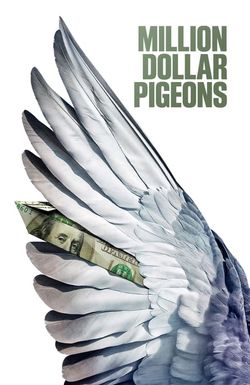 Million Dollar Pigeons