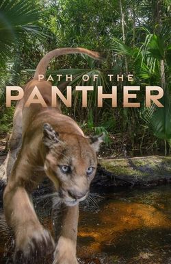 Path of the Panther