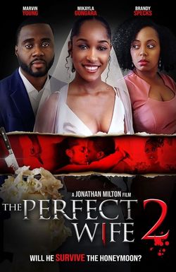 The Perfect Wife 2