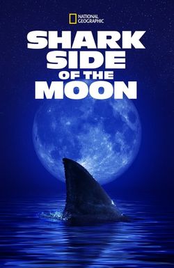 Shark Side of the Moon