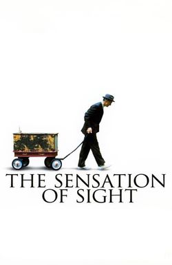 The Sensation of Sight