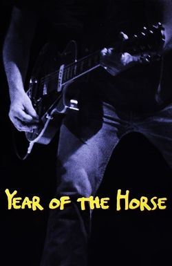 Year of the Horse