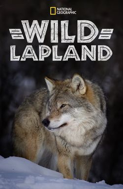 Wild Lapland