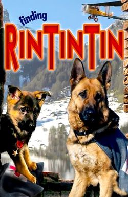 Finding Rin Tin Tin