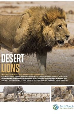 Desert Lions