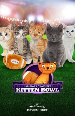 Kitten Bowl