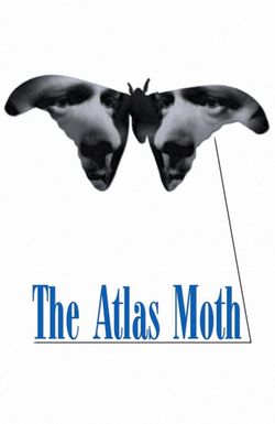 The Atlas Moth