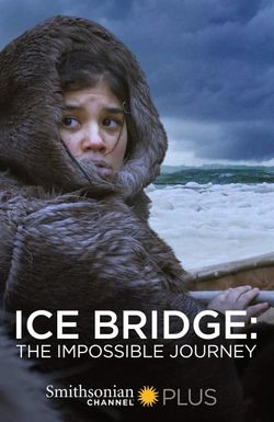 Ice Bridge: The Impossible Journey