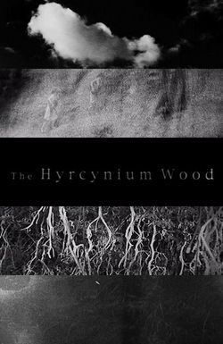 The Hyrcynium Wood